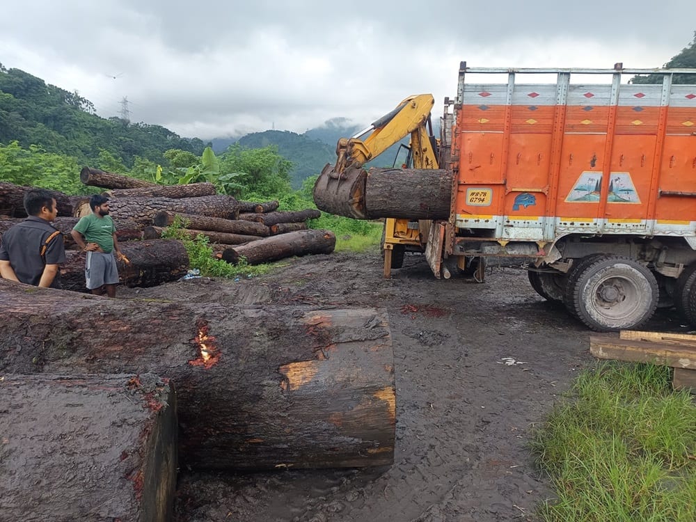 Excavator loading timber logs onto a truck